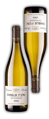 Logo - Domaine Bachelier Vins de Chablis